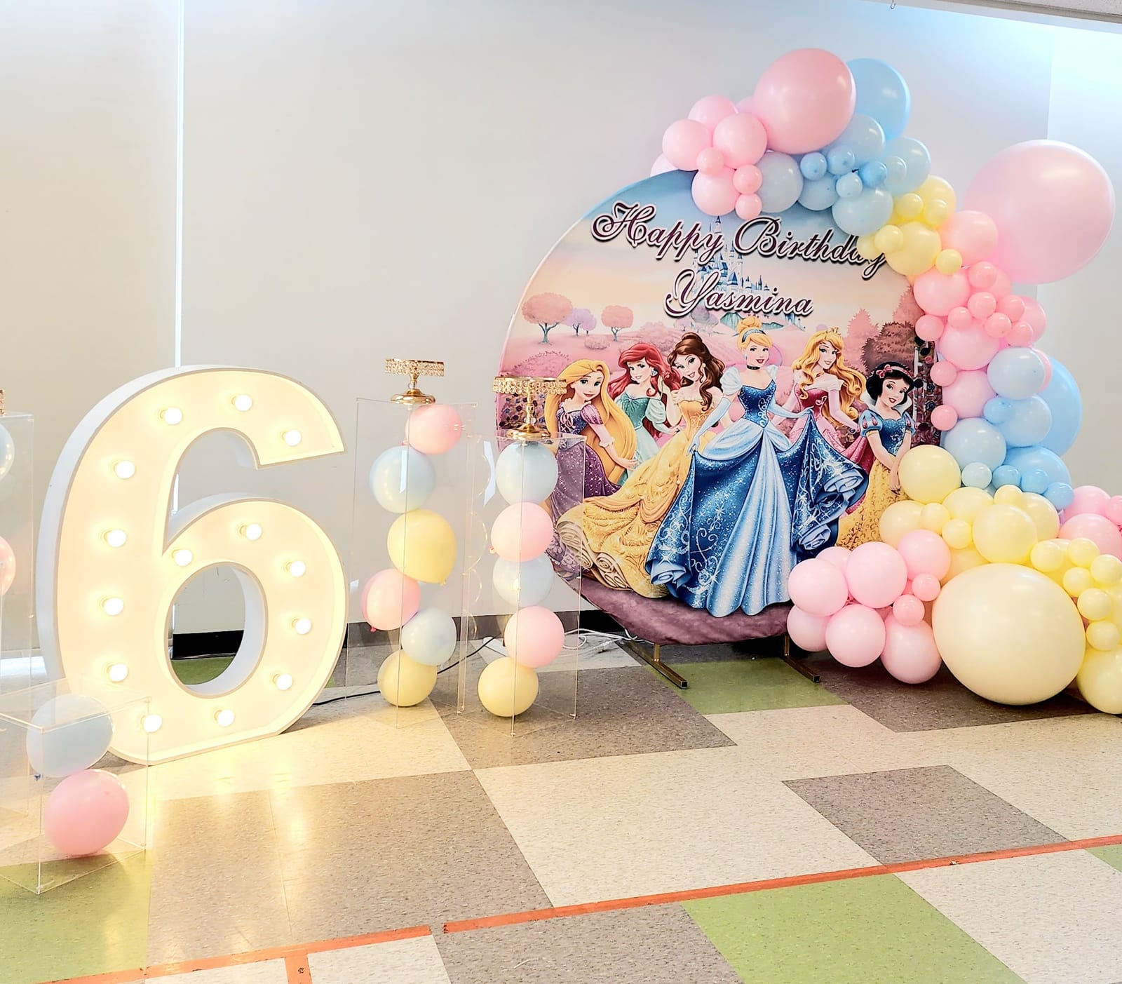 Princess Birthday Round Backdrop